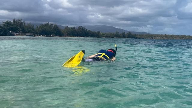 Snorkeling Lessons & Interactive Experience with Snacks - Dominican Republic