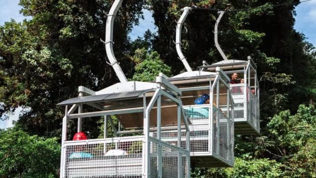Monteverde: TreeTram Cableway and Cloud Forest Hiking Trail - Photo 4 (Gallery view)