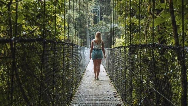 Fortuna Arenal : Selva Tropical Puentes Colgantes del Arenal - Photo 4 (Gallery view)