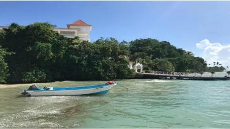 Punta Cana: obserwacja wielorybów w zatoce Samaná i Cayo Levantado - Photo 5 (Gallery view)