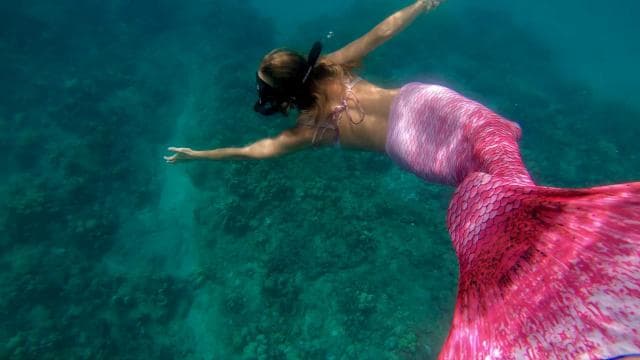 Puerto Rico: Mermaid Snorkeling Adventure - Photo 5 (Gallery view)