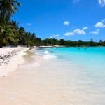 Punta Cana: Catamaran to Saona Island with Lunch & Open Bar - Photo 2 (Gallery view)