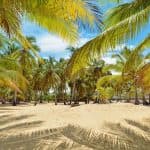 Punta Cana: Boat Tour to Isla Saona, Open Bar & Buffet Lunch - Dominican Republic