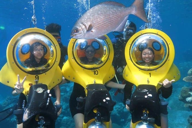 Bayahibe: PADI Open Water Course - Dominican Republic