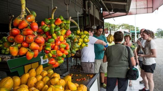 San Jose: Market Delights and City Sights with a Local - Photo 2 (Gallery view)