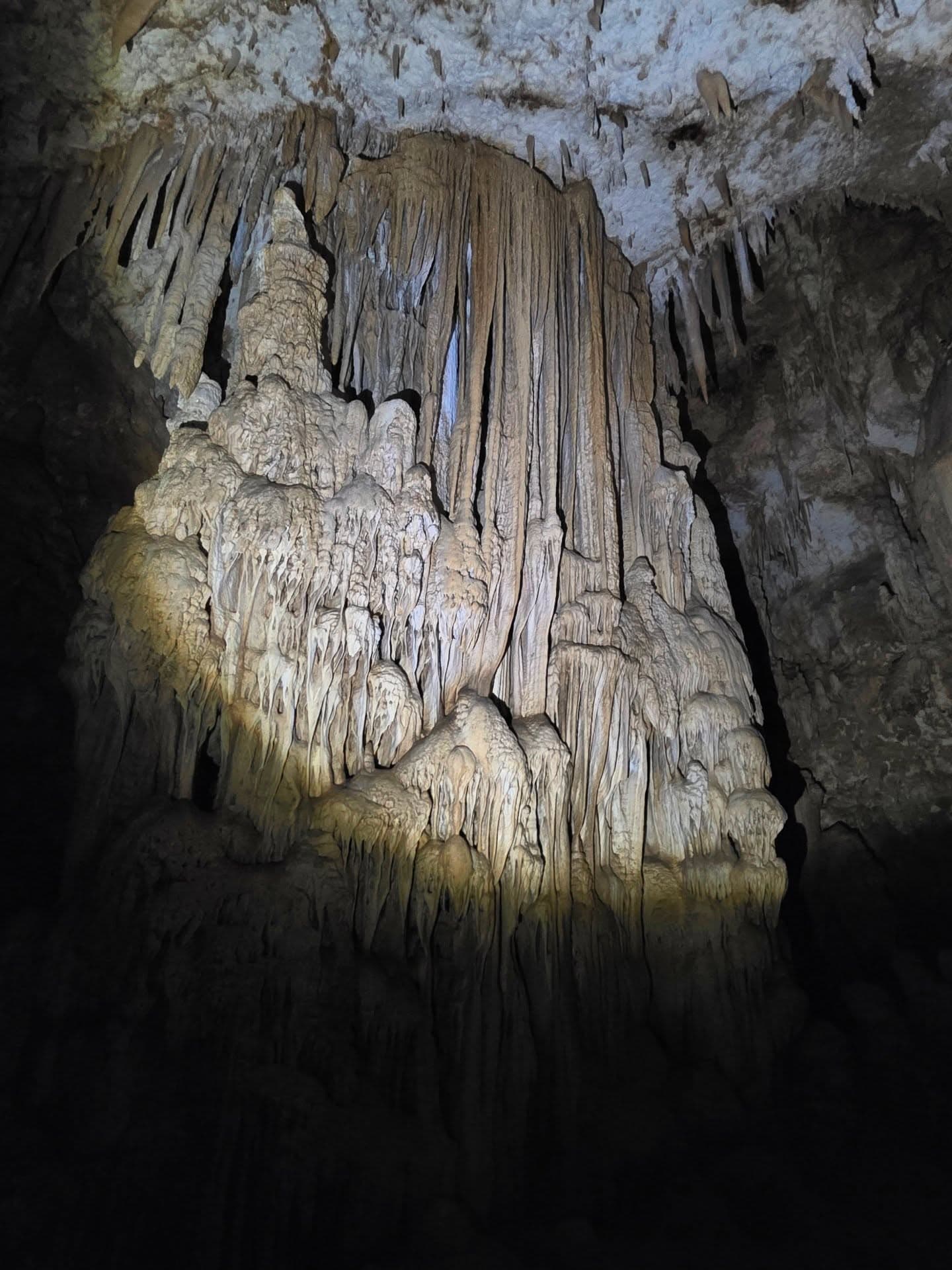Los Haitises National Park: Boat Tour with Caves Visit - Photo 3 (Gallery view)