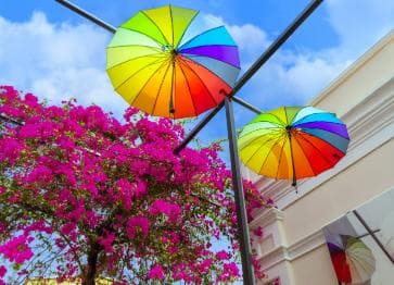 Half Day Private City Tour of Puerto Plata - Photo 2 (Gallery view)