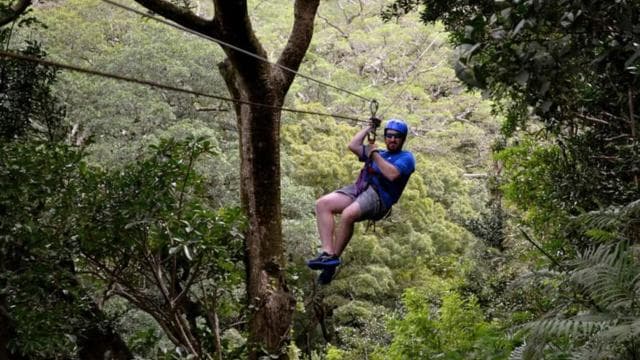 Papagayo Gulf: Guanacaste Volcano and Jungle Tour - Photo 4 (Gallery view)