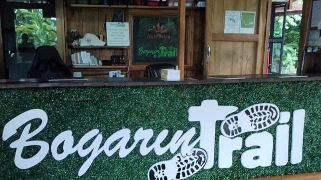 La Fortuna: Rehberli Bogarin Yolu Tembellik İzleme Turu - Photo 4 (Gallery view)