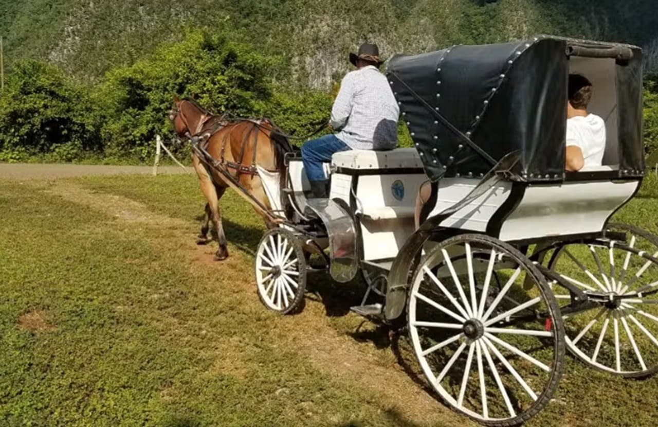 Viñales Valley Carriage Ride - Photo 3 (Gallery view)