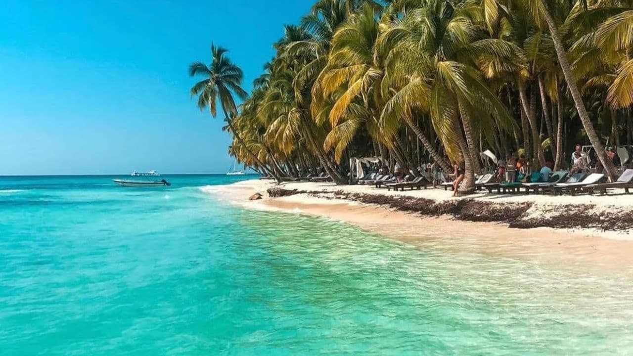 Santo Domingo: Katamarán na ostrově Saona s obědem a barem - Photo 3 (Gallery view)
