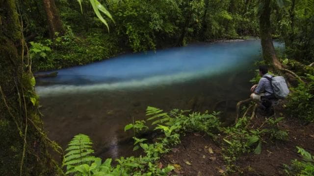 Ticket to Rio Celeste Waterfall & Tenorio National Park - Dominican Republic