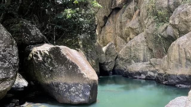 El Yunque: Hidden Off The Path Waterfall Hike w/ Transport - Photo 2 (Gallery view)