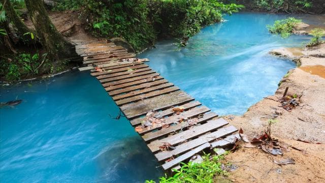 Ticket to Rio Celeste Waterfall & Tenorio National Park - Photo 5 (Gallery view)