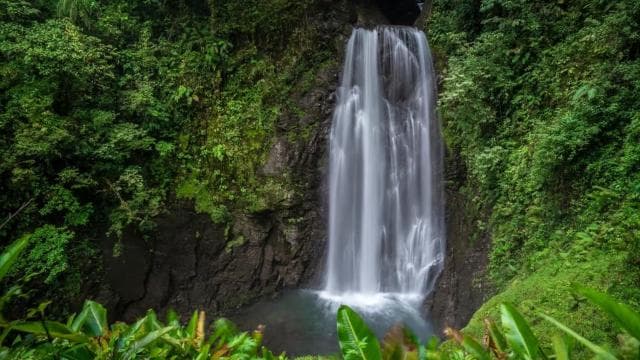 Monteverde: Waterfalls, Wild Trekking and Horseback Riding - Photo 5 (Gallery view)