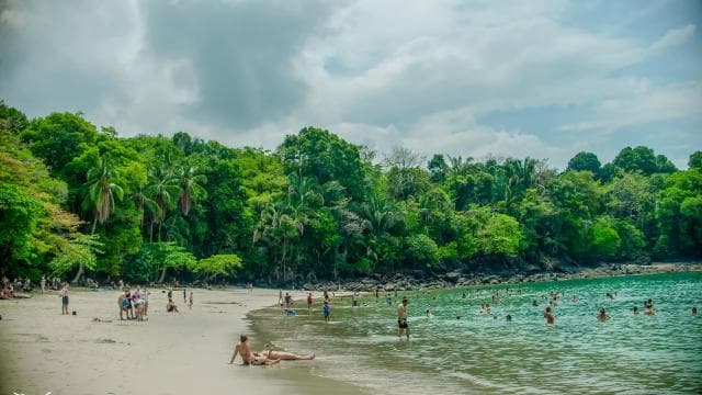 Manuel Antonio Park: Guided Tour with Ticket - Photo 2 (Gallery view)