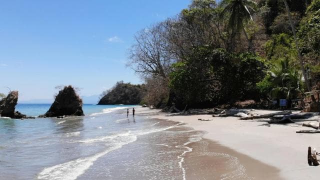 Paquera: Isla Tortuga Snorkeling tour - Dominican Republic