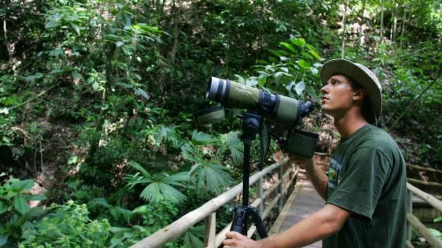 Тур спостереження за птахами в Rainforest Adventures Braulio Carrillo - Photo 5 (Gallery view)