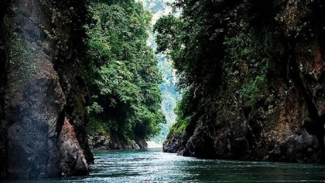 From San José: Pacuare River White Water Rafting Day Trip - Photo 2 (Gallery view)