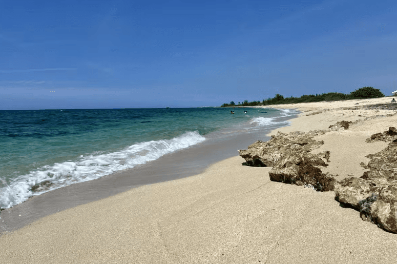 卡博内拉、马坦萨斯、博卡卡马里奥卡和圣玛尔塔一日游 - Photo 4 (Gallery view)