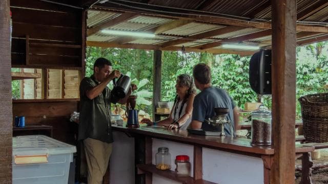 Costa Rica: Sloth túra és kávé, csokoládé és cukornád - Photo 5 (Gallery view)