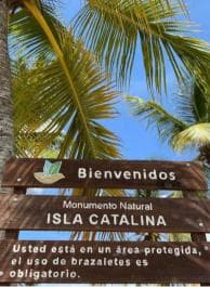 Catalina Island: Cruise, Snorkelling, Open Buffet & Drinks - Photo 4 (Gallery view)