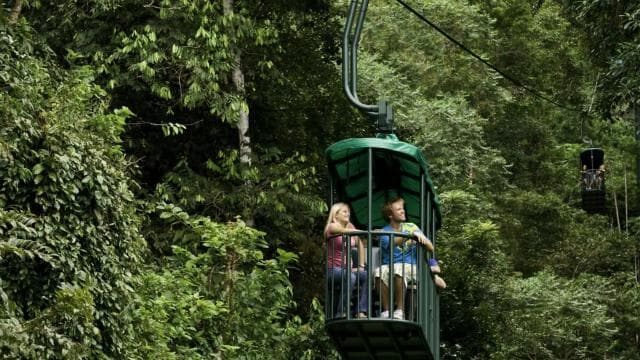 Jaco Beach: Pacific Aerial Tram at Rainforest Adventures - Photo 3 (Gallery view)