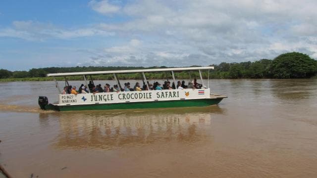 La Fortuna: Arenal Volcano, Hanging Bridges & Waterfall Tour - Photo 4 (Gallery view)