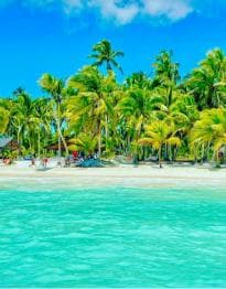Santo Domingo: Saona Island VIP Full-Day Private Tours Lunch & Open Bar - Photo 4 (Gallery view)