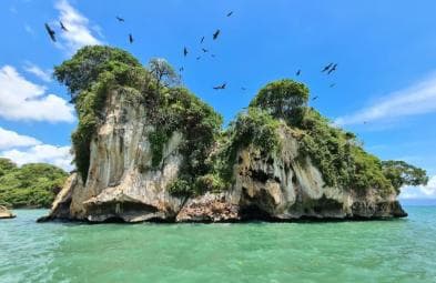 Sabana de la Mar: Los Haitises National Park Day Trip Free - Photo 4 (Gallery view)