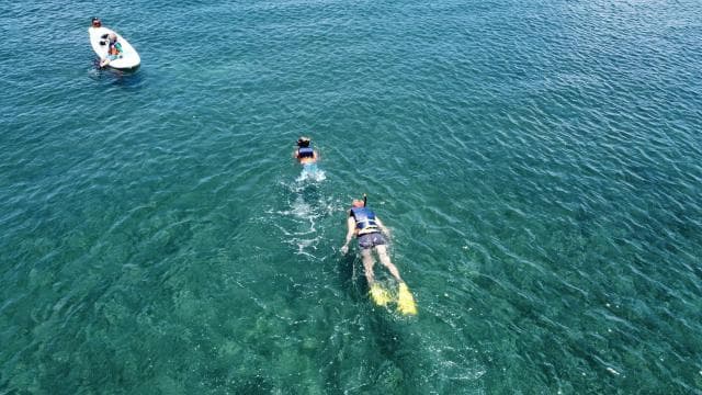 Snorkeling Lessons & Interactive Experience with Snacks - Photo 3 (Gallery view)