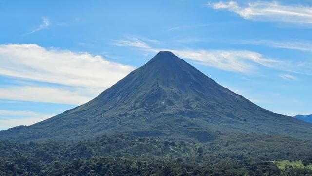 Mistico Hanging Bridges + Transportation + Naturalist Guide - Dominican Republic