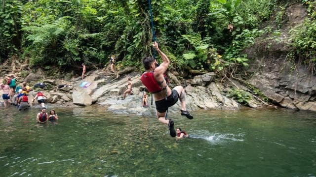 From San Juan: El Yunque Forest Hike & Ziplining Combo Tour - Photo 5 (Gallery view)