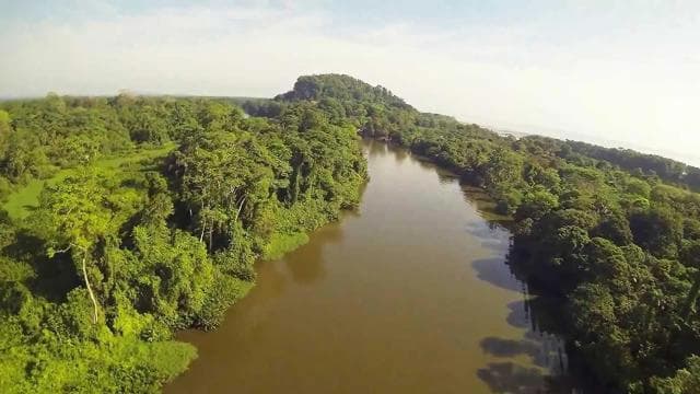Tortuguero: Tour in the Tortuguero hill (dormant volcano) - Photo 3 (Gallery view)