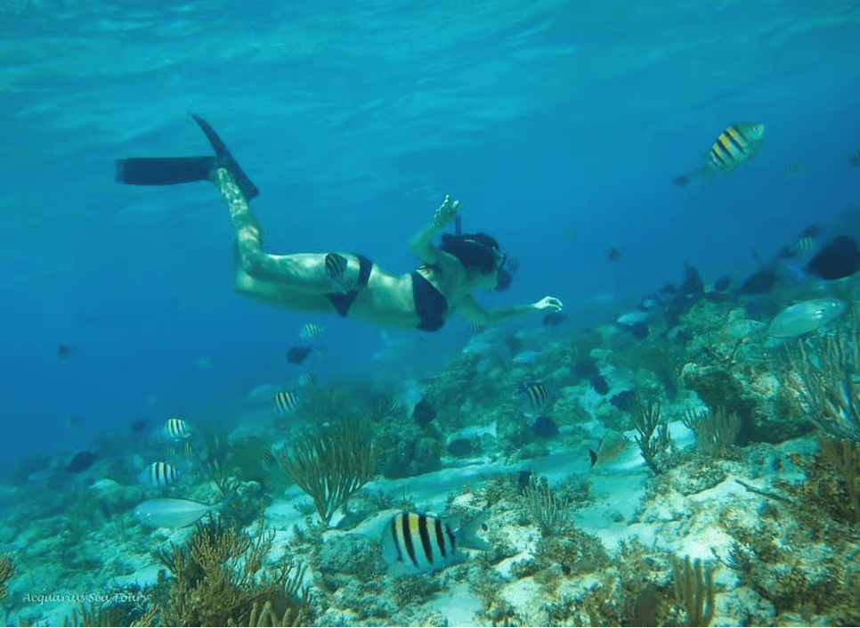 Desde Fajardo: Barco y Snorkeling en Isla Culebra con Todo Incluido - Photo 2 (Gallery view)