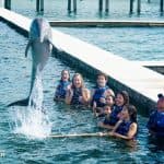 Swim with Dolphins in Punta Cana - Photo 4 (Gallery view)