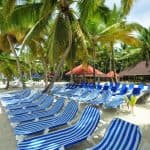 Saona Travelers: Full-Day Boat Tour with Buffet Lunch & Drinks - Photo 2 (Gallery view)