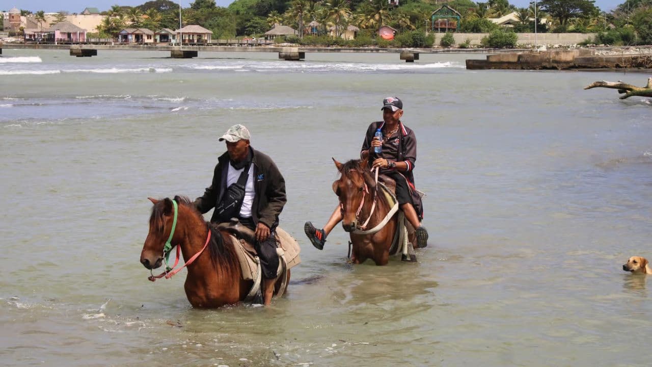 Reiten am Strand und in der Natur (Kopie) - Photo 3 (Gallery view)