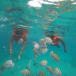 Punta Cana: Plavba katamaránom na ostrove Catalina so šnorchlovaním - Photo 4 (Gallery view)