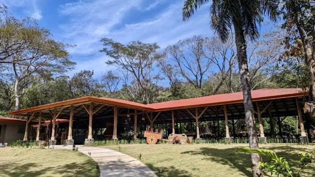 Combo Tour: Lunch + Río Negro hotsprings - Photo 3 (Gallery view)