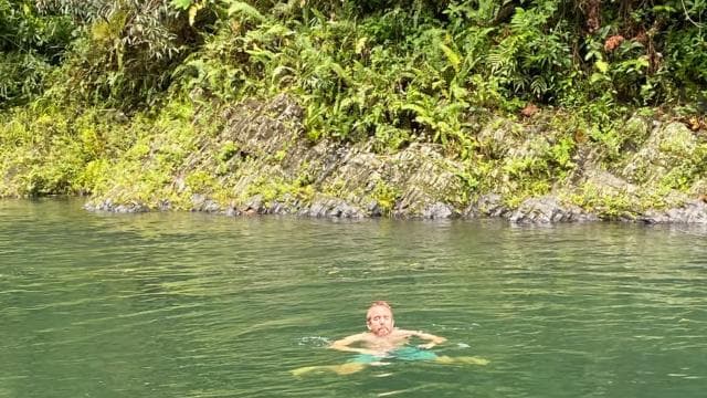 San Juan: El Yunque National Rainforest Sightseeing Tour - Photo 3 (Gallery view)