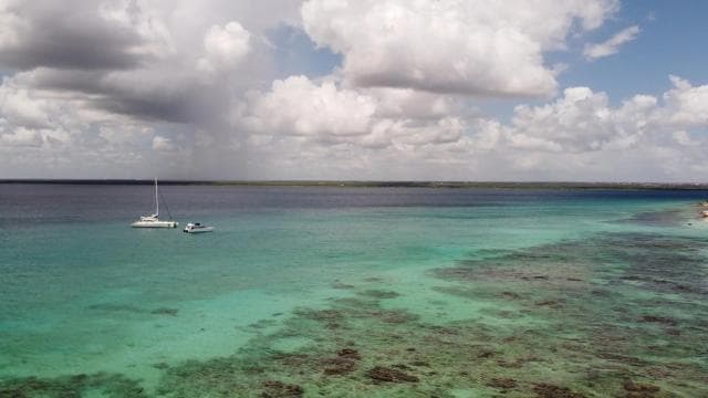 Punta Cana: All Inclusive Saona Island Experience - Photo 2 (Gallery view)