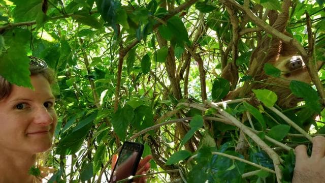 Punta Uva: Kayak and Sloth Watching Tour - Photo 5 (Gallery view)