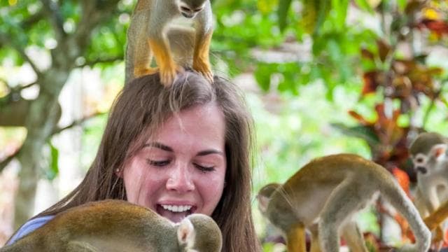Punta Cana: Triple Jungle Adventure Park Tour with Tastings - Photo 2 (Gallery view)