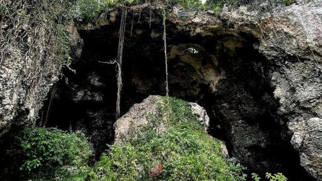 From San Juan: Rainforest River, Luquillo Beach, & Cave Tour - Photo 3 (Gallery view)