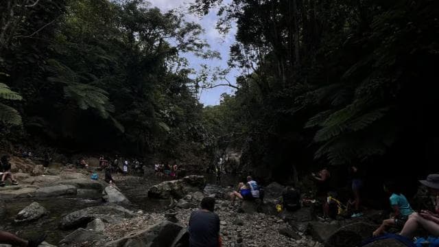 Wycieczka po El Yunque, wycieczka po rzece i zjeżdżalniach wodnych - Photo 2 (Gallery view)