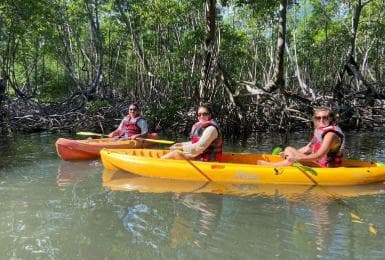 Los Haitises: Kayaking, Hiking, and Caving Tour with Lunch - Photo 3 (Gallery view)