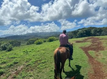 Jarabacoa: Private Baiguate Waterfall Horseback Riding Tour - Photo 3 (Gallery view)
