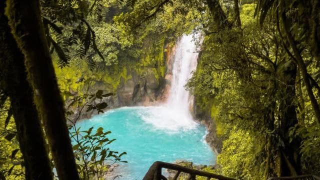 Rio Celeste, explore the rainforest and great waterfall - Photo 2 (Gallery view)