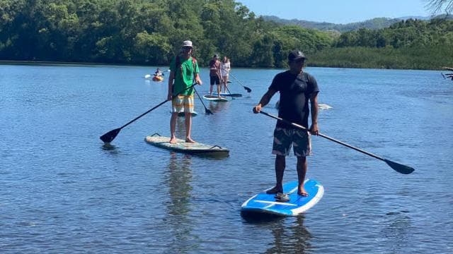 Nosara: Rio Montana Mangrove SUP or Kayak Tour - Photo 4 (Gallery view)